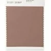 Dessy Group Lux Charmeuse Swatch