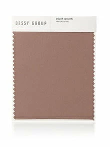 Dessy Group Lux Charmeuse Swatch