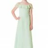 Bari Jay Junior Bridesmaid Dress Style 1730(JR) 1 Bari Jay Junior Bridesmaid Dress Style 1730(JR)