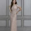 Adrianna Papell Platinum Bridesmaid Dress Style 40104 All Bridesmaid Dresses